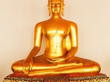 Buddha is almost always portrayed in a meditating pose. (Photo: Foto: Nomad_Soul, NTB Scanpix) Buddha is almost always portrayed in a meditating pose. (Photo: Foto: Nomad_Soul, NTB Scanpix)