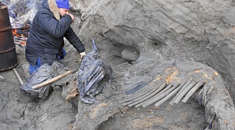 Denne mammuten ble drept av mennesker for 45 000 år siden