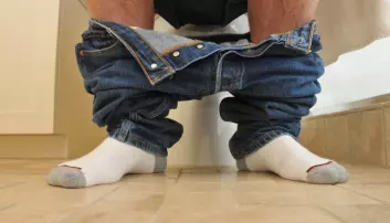 Spør en forsker: Kan jeg få klamydia fra toalettsetet?