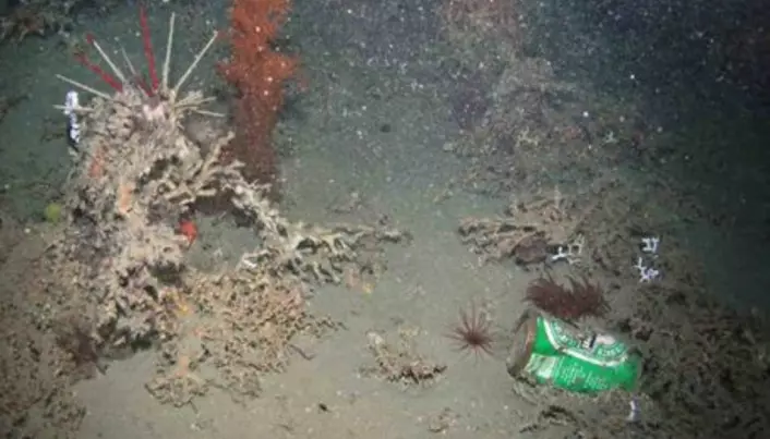 Rubbish found in the deepest ocean depths