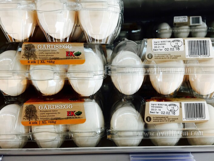 Egg kan være holdbare lenge etter at datomerkingen er passert. Det er derfor de er merket med «Best før:». (Foto: Bård Amundsen/forskning.no) Egg kan være holdbare lenge etter at datomerkingen er passert. Det er derfor de er merket med «Best før:». (Foto: Bård Amundsen/forskning.no)