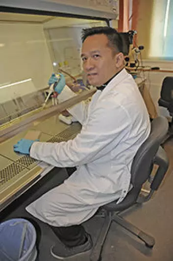 Cuong Khuu har forsket på hvordan mikroRNA-molekyler påvirker kreftceller sammenlignet med normale celler i sitt doktorgradsprosjekt ved Institutt for oral biologi.  (Foto: Per Gran, OD/UiO)