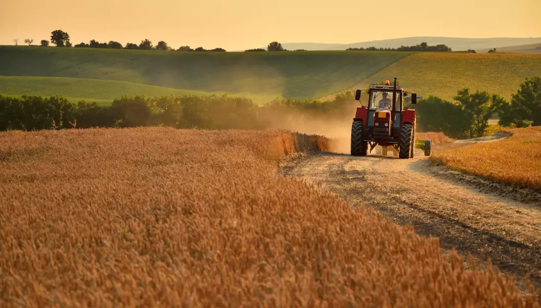 Hvordan skal vi sikre et landbruk som kan fø oss i framtiden?