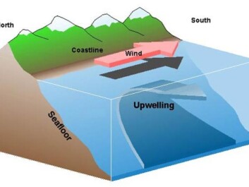 Upwelling: The diagram illustrates colder, denser and nutrient-rich deep water rising and replacing the surface water (Illustration: Wikipedia) Upwelling: The diagram illustrates colder, denser and nutrient-rich deep water rising and replacing the surface water (Illustration: Wikipedia)