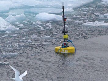 Hydrophones deployed during the 2013 Oden Arctic Technology Research Cruise were used to capture the sounds of the Oden icebreaker breaking through the ice. Researcher Michel André says that scientists have relatively little data on how man-made underwater sounds, such as the crunching of the boat through ice ridges, propagate under the ice. (Photo: Jan Durinck, Marine Observers) Hydrophones deployed during the 2013 Oden Arctic Technology Research Cruise were used to capture the sounds of the Oden icebreaker breaking through the ice. Researcher Michel André says that scientists have relatively little data on how man-made underwater sounds, such as the crunching of the boat through ice ridges, propagate under the ice. (Photo: Jan Durinck, Marine Observers)