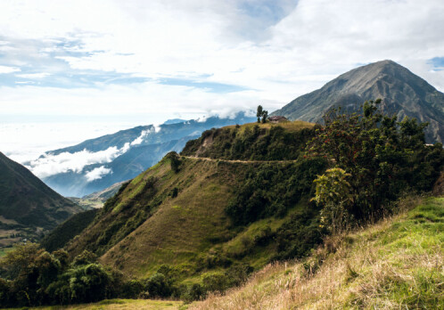 Carbon storage in the Andes makes economic sense