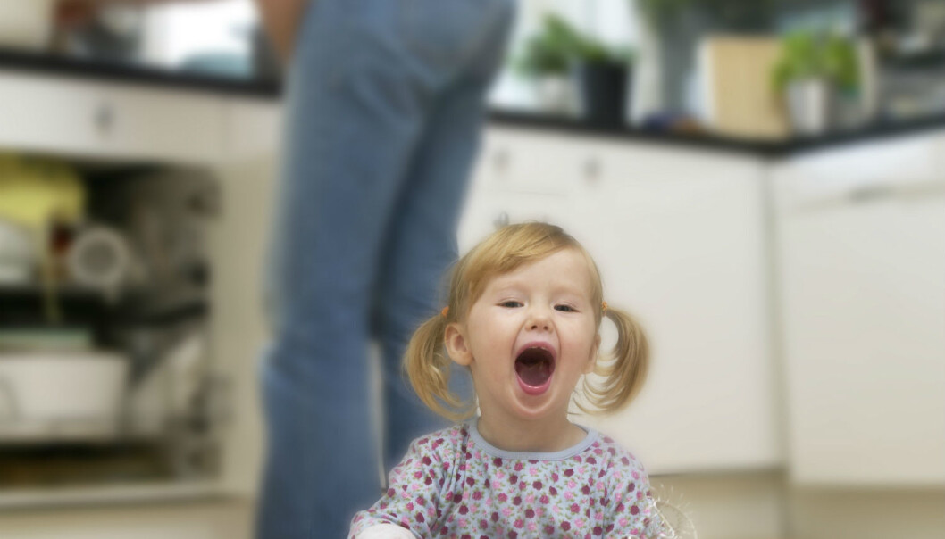 ”Everybody follows certain rules for how they are to behave in the kitchen,” the researcher says. (Poto: Berit Roald/ NTB scanpix) ”Everybody follows certain rules for how they are to behave in the kitchen,” the researcher says. (Poto: Berit Roald/ NTB scanpix)