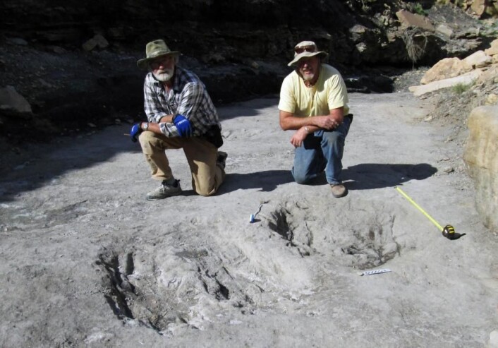 Paleontologene Martin Lockley og Ken Cart poserer ved skrapemerkene etter dinosaurene. (Foto: University of Colorado Denver.) Paleontologene Martin Lockley og Ken Cart poserer ved skrapemerkene etter dinosaurene. (Foto: University of Colorado Denver.)