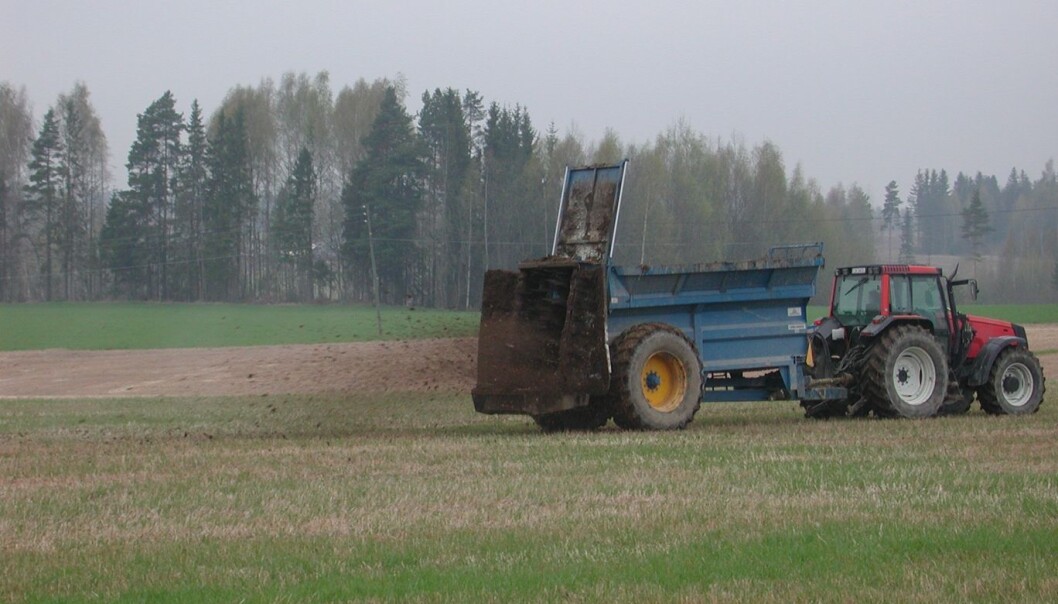 Avløpsslam inneholder mye organisk avfall og blir derfor brukt som jordforbedringsmiddel. Slammet utgjør også en potensielt betydningsfull fosforkilde, men til nå har lite av dette fosforet vært tilgjengelig for planteopptak. I et nylig avsluttet forskningsprosjekt, har forskere fra NIBIO og NMBU blant annet forsøkt å finne ut hvordan fosforet i avløpsslam kan gjøres mer tilgjengelig for planteopptak, med håp om at tilførselen av mineralsk fosforgjødsel til gjengjeld kan reduseres noe. (Foto: Arne Haarr, Norsk Vann) Avløpsslam inneholder mye organisk avfall og blir derfor brukt som jordforbedringsmiddel. Slammet utgjør også en potensielt betydningsfull fosforkilde, men til nå har lite av dette fosforet vært tilgjengelig for planteopptak. I et nylig avsluttet forskningsprosjekt, har forskere fra NIBIO og NMBU blant annet forsøkt å finne ut hvordan fosforet i avløpsslam kan gjøres mer tilgjengelig for planteopptak, med håp om at tilførselen av mineralsk fosforgjødsel til gjengjeld kan reduseres noe. (Foto: Arne Haarr, Norsk Vann)