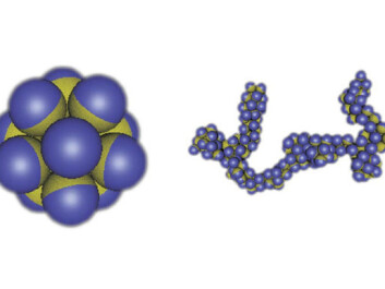 Figure 2: If the different parts of a patchy capsule attract each other, then they have the ability to self-organize in different kinds of structures. (Illustration: Physics Today, Angelo Cacciuto/Erik Luijten) Figure 2: If the different parts of a patchy capsule attract each other, then they have the ability to self-organize in different kinds of structures. (Illustration: Physics Today, Angelo Cacciuto/Erik Luijten)