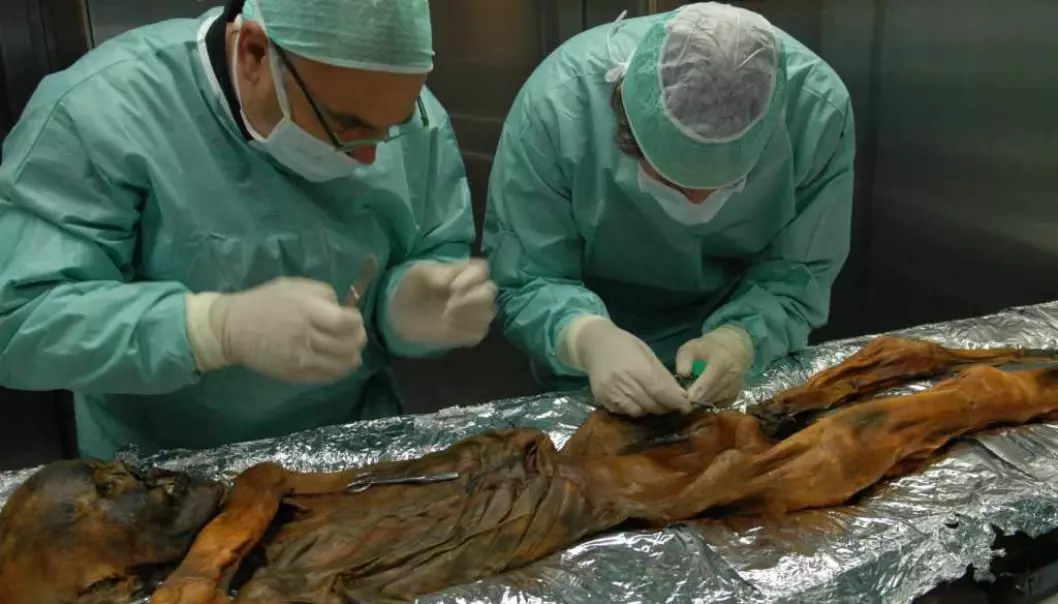 Bakterier i Ötzis mage skaper hodebry