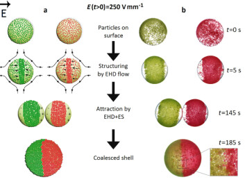 Figure 3: Here’s how patchy colloidosomes are made. (Illustration: Nature Communications) Figure 3: Here’s how patchy colloidosomes are made. (Illustration: Nature Communications)