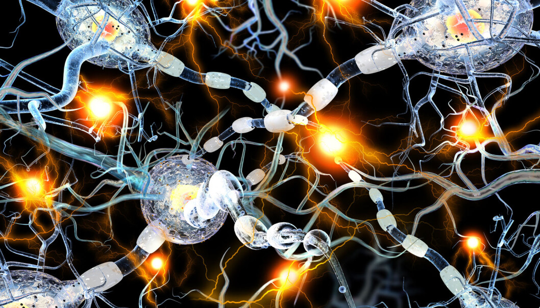 Sykdomsforløpet ved Parkinsons sykdom skjer som følge av at nerveceller som produserer signalstoffet dopamin dør. (Illustrasjon: Shutterstock / NTB Scanpix) Sykdomsforløpet ved Parkinsons sykdom skjer som følge av at nerveceller som produserer signalstoffet dopamin dør. (Illustrasjon: Shutterstock / NTB Scanpix)