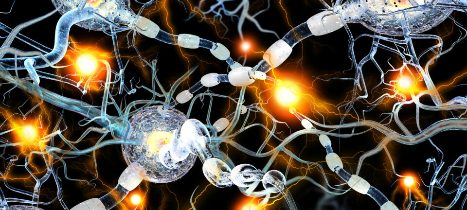 Sykdomsforløpet ved Parkinsons sykdom skjer som følge av at nerveceller som produserer signalstoffet dopamin dør. (Illustrasjon: Shutterstock / NTB Scanpix)