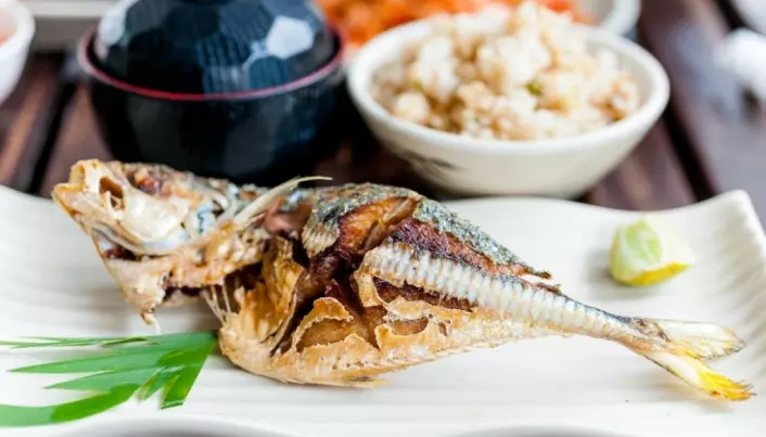 Why Japanese connoisseurs love Norwegian mackerel