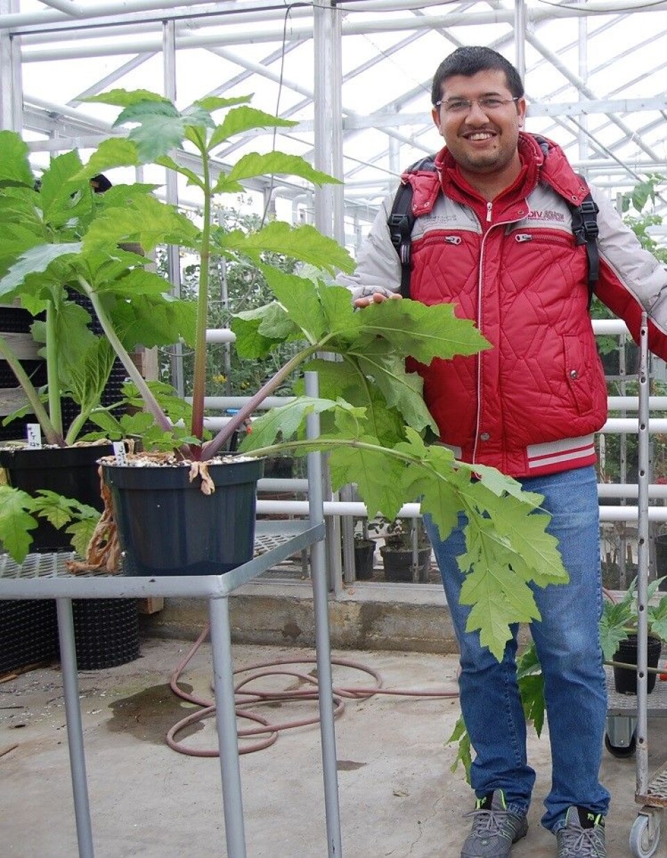 Stipendiat Dilli Prasad Rijal i klimalaboratoriet på Holt i Tromsø. (Foto: Leidulf Lund)