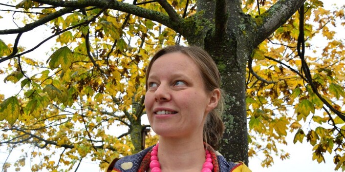 I tillegg til å være en engasjert moseforsker, er Magni Olsen Kyrkjeeide med i Moseklubben. Klubben har 70 medlemmer som møtes årlig og jobber for å kartlegge mose her i landet. (Foto: Kathinka Høyden, Gemini) I tillegg til å være en engasjert moseforsker, er Magni Olsen Kyrkjeeide med i Moseklubben. Klubben har 70 medlemmer som møtes årlig og jobber for å kartlegge mose her i landet. (Foto: Kathinka Høyden, Gemini)