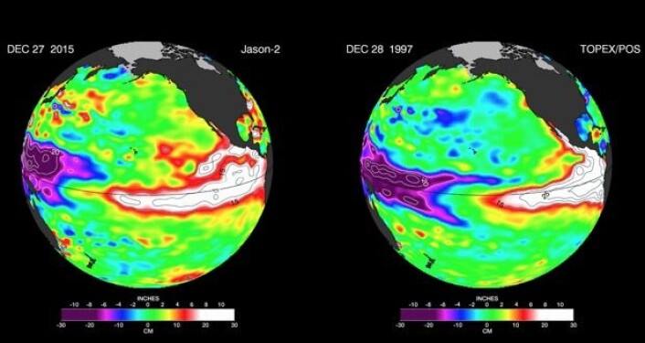 Satellittmålt havnivå-anomali ved årets slutt for de to store El Ninjoene. Mange likheter, og noen forskjeller. (Bilde: NASA-JPL) Satellittmålt havnivå-anomali ved årets slutt for de to store El Ninjoene. Mange likheter, og noen forskjeller. (Bilde: NASA-JPL)
