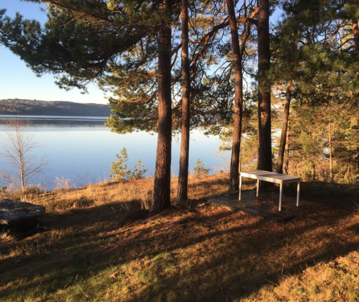 Andre juledag 2015 ved Øyeren. (Bilde: T. Wahl) Andre juledag 2015 ved Øyeren. (Bilde: T. Wahl)