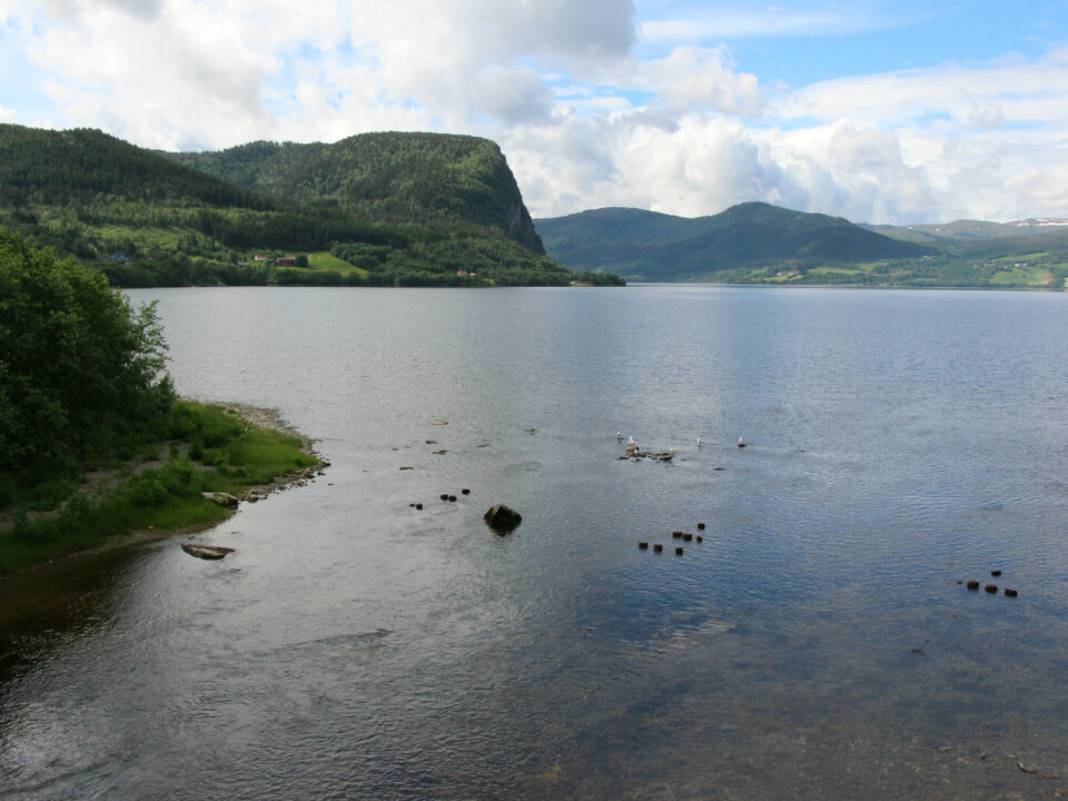 Rovatnet, located in Hemne municipality, is an ideal place for sea trout. (Photo: Nancy Bazilchu)