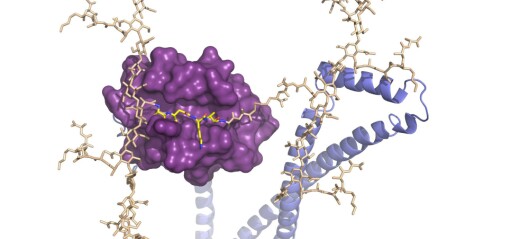 Enzyme discovery offers hope of a new generation of antibiotics