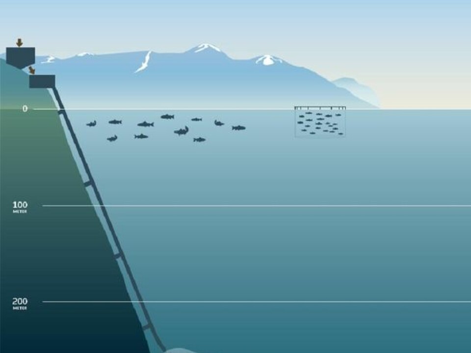 Deep submarine tailings placement in a Norwegian Fjord.  (Illustration: Nordic Mining)