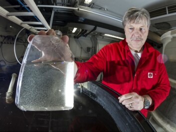 The test-tube contains copepods, which senior scientist Jan Ove Evjemo and his colleagues cultivate as feed for various fish and crustacean species. The cultivation technology is the key factor for raising well-developed tuna fry. (Photo: SINTEF/Thor Nielsen) The test-tube contains copepods, which senior scientist Jan Ove Evjemo and his colleagues cultivate as feed for various fish and crustacean species. The cultivation technology is the key factor for raising well-developed tuna fry. (Photo: SINTEF/Thor Nielsen)