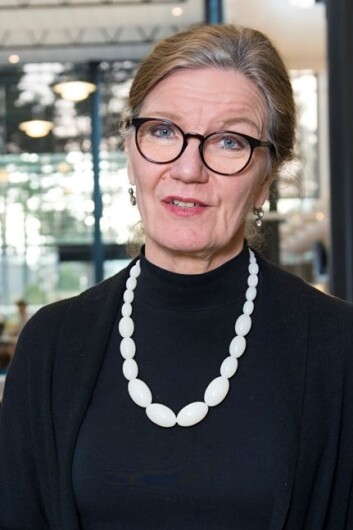 Elsa Almås er professor ved Institutt for psykososial helse ved Universitetet i Agder. (Foto: Kjell Inge Søreide) Elsa Almås er professor ved Institutt for psykososial helse ved Universitetet i Agder. (Foto: Kjell Inge Søreide)