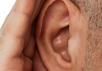 Gene therapy for ears
