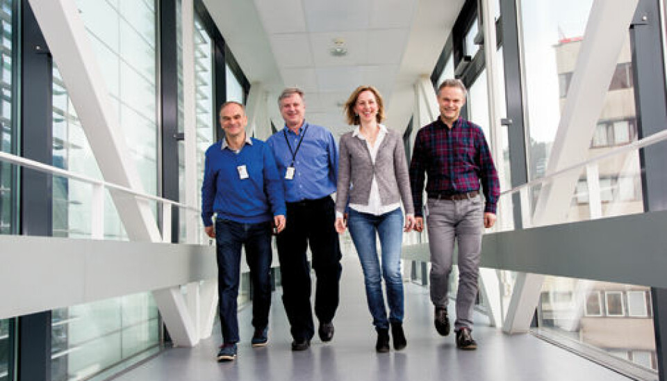 Harald Holte (from left), Erlend Smeland, Marianne Brodtkorb and Ole Christian Lingjærde have developed a new statistical method that can predict when lymphoma will become aggressive. Photo: Yngve Vogt