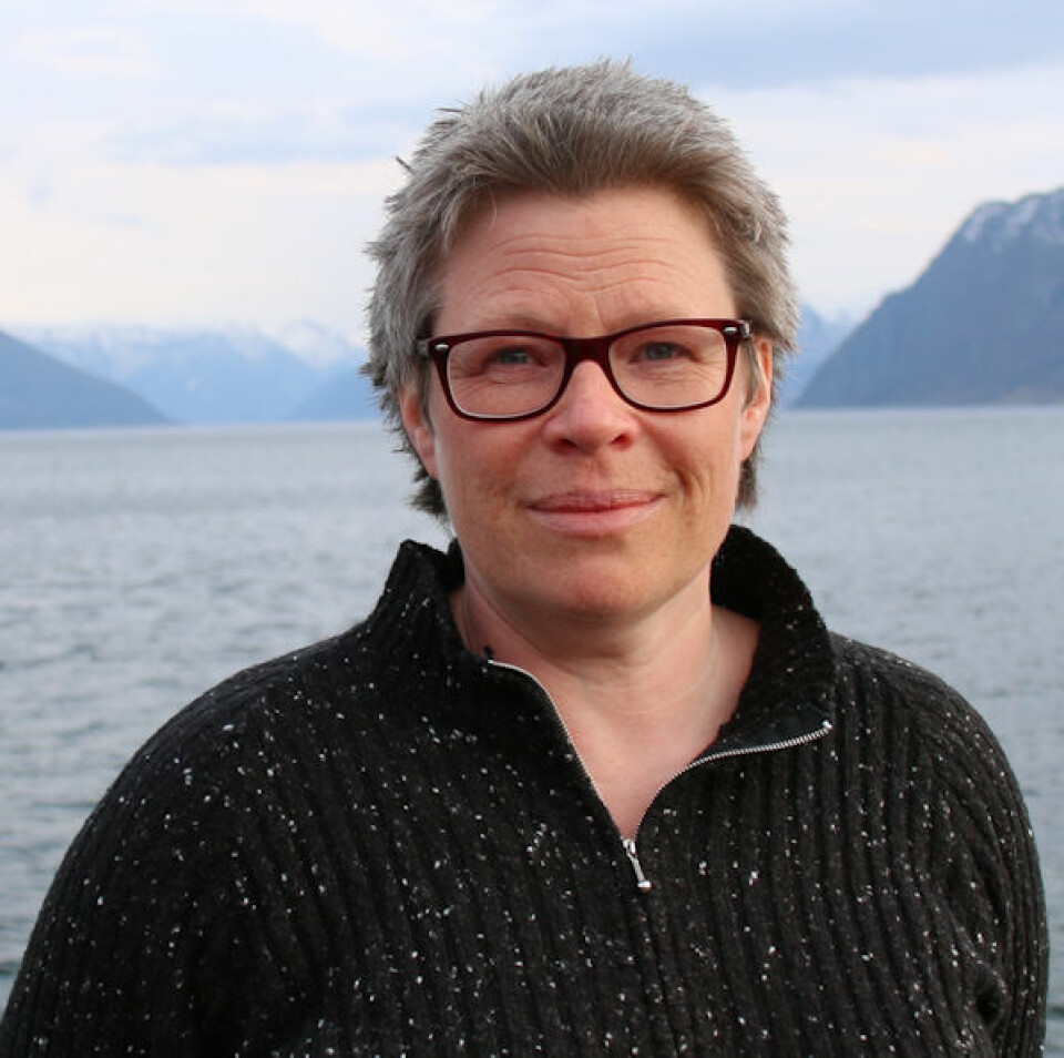 Hilde G. Corneliussen, forsker ved Vestlandsforskning. (Foto: Vestlandsforskning)