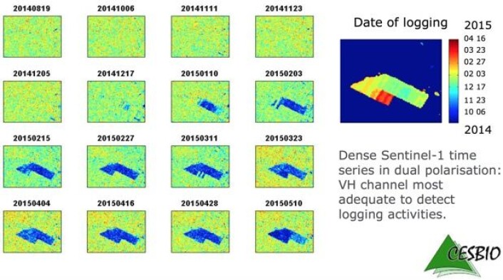 Hyppige passeringer med bilderadar fra Sentinel-1A gjør det mulig å påvise hvor og når det hugges i regnskogen. (Bilde: ESA/CESBIO/Copernicus Sentinel data 2015). Hyppige passeringer med bilderadar fra Sentinel-1A gjør det mulig å påvise hvor og når det hugges i regnskogen. (Bilde: ESA/CESBIO/Copernicus Sentinel data 2015).