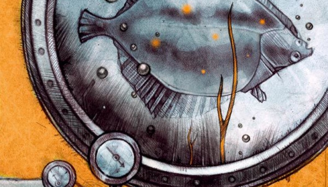 (Illustration: Line Halsnes) (Illustration: Line Halsnes)