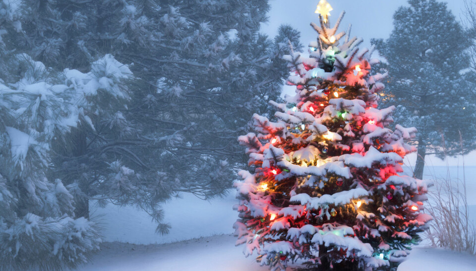 Hva er egentlig julestemning? Forskere mener i hvert fall de har sett spor av den i hjernen. (Illustrasjonsfoto: Shutterstock)
