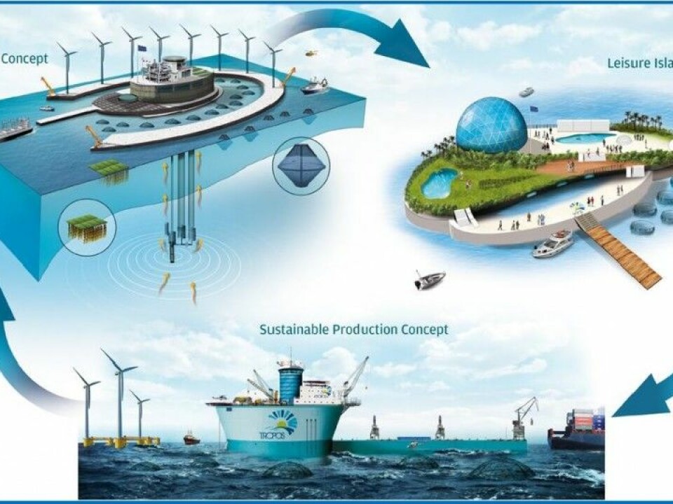 Scientists are designing platforms to combine industry and harbour activity with renewable energy, aquaculture and leisure. (Illustration: TROPOS)