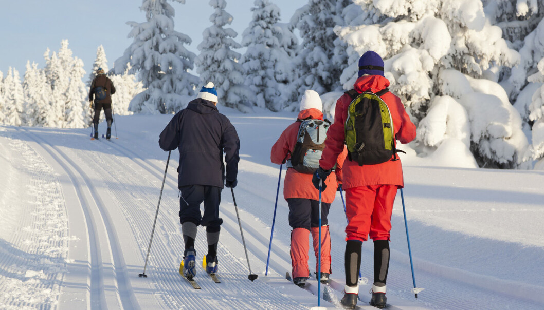 Til tross for den tradisjonelle søndagsturen: Vi nordmenn er kanskje ikke så spreke som vi tror? (Foto: Rob Kint/ Shutterstock/NTB scanpix) Til tross for den tradisjonelle søndagsturen: Vi nordmenn er kanskje ikke så spreke som vi tror? (Foto: Rob Kint/ Shutterstock/NTB scanpix)