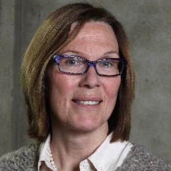 - Vi har hatt et økt fokus på veilederrollen, sier prodekan for forskning Ragnhild Lofthus ved NTNU. (Foto: NTNU) - Vi har hatt et økt fokus på veilederrollen, sier prodekan for forskning Ragnhild Lofthus ved NTNU. (Foto: NTNU)