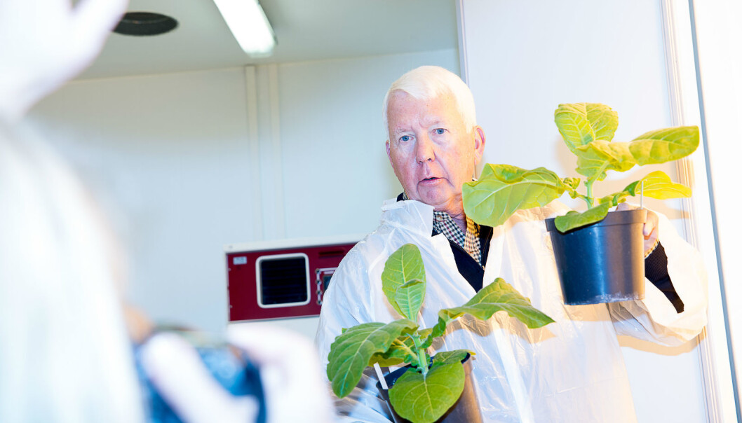 Professor Arntzen visited Norway last week. (Photo: Siri Elise Dybdal) Professor Arntzen visited Norway last week. (Photo: Siri Elise Dybdal)