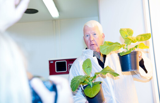 From genetically modified tobacco plants to medicine for Ebola
