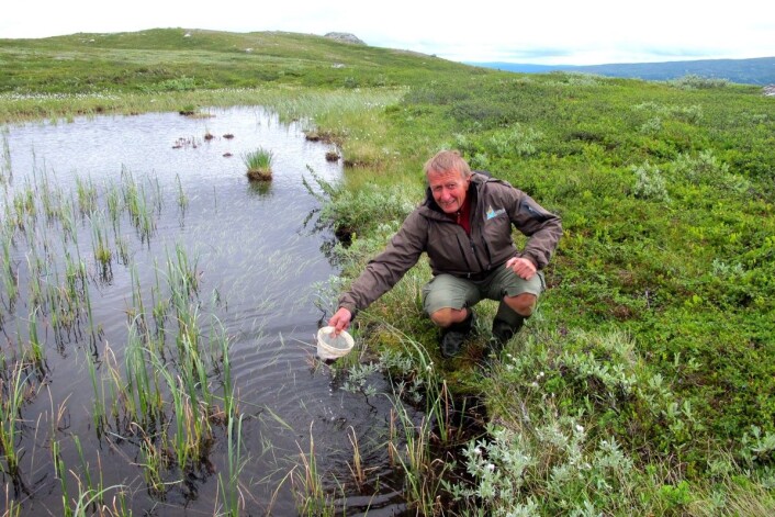 Bjørn Walseng fortsetter jakten på ukjente arter i G.O. Sars’ fotspor. Her samler han harpacticoide hoppekreps i en liten dam. (Foto: Bjørn Walseng, NINA) Bjørn Walseng fortsetter jakten på ukjente arter i G.O. Sars’ fotspor. Her samler han harpacticoide hoppekreps i en liten dam. (Foto: Bjørn Walseng, NINA)