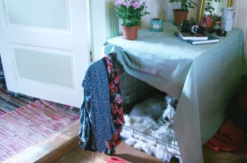 Cumulus løper inn i buret sitt hvis han blir skremt. Et bur jeg for øvrig aldri lukker eller går inn i. Det er hans trygge, portable havn. (Foto: Emma Mary Garlant) Cumulus løper inn i buret sitt hvis han blir skremt. Et bur jeg for øvrig aldri lukker eller går inn i. Det er hans trygge, portable havn. (Foto: Emma Mary Garlant)