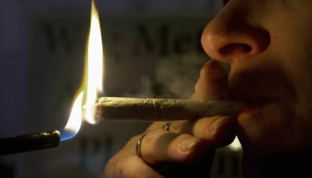 Forteljingar om rus held liv i cannabismiljøet