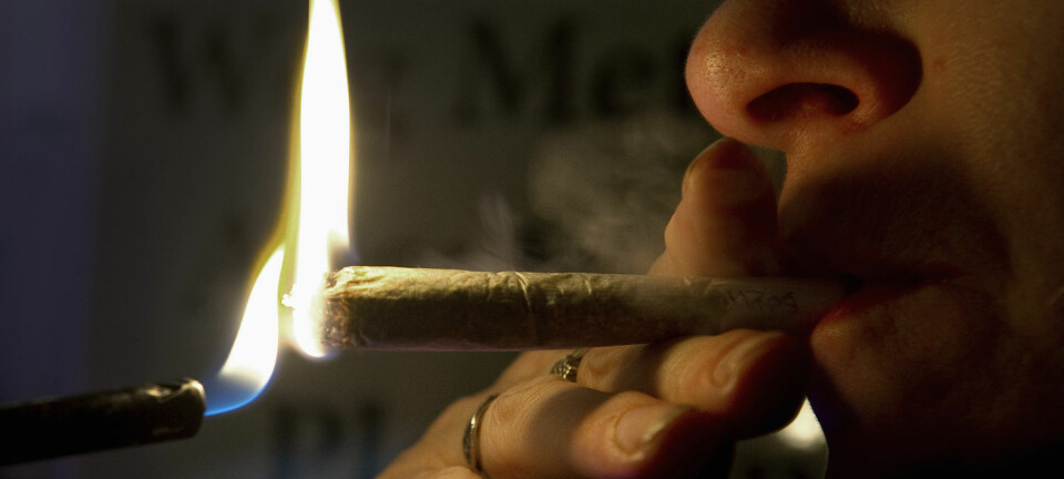 Cannabisbrukarane som kriminolog Sveinung Sandberg har intervjua, fortel både om «bad trips» og grensesprengande opplevingar.  (Foto: Toussaint Kluiters, Reuters/NTB scanpix)