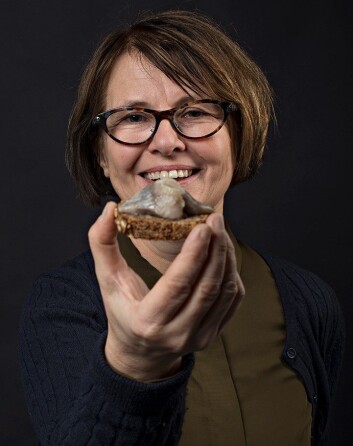 Kanskje har silda flere stoffer vi i dag ikke kjenner virkningen til? Seniorforsker Bente Ruyter i Nofima har avslørt en av hemmelighetene. (Foto: Jon-Are Berg-Jacobsen, Nofima) Kanskje har silda flere stoffer vi i dag ikke kjenner virkningen til? Seniorforsker Bente Ruyter i Nofima har avslørt en av hemmelighetene. (Foto: Jon-Are Berg-Jacobsen, Nofima)