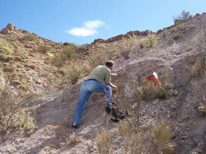 De australske paleontologene har undersøkt fossiler i bergarter fra den argentinske klippeformasjonen Chañares.  (Foto: Adriana Mancuso)