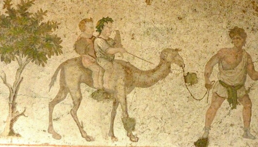 Boys on a camel. Mosaic from late antiquity, early 6th century CE. Great Palace Mosaic Museum, Istanbul. (Photo: Reidar Aasgaard)