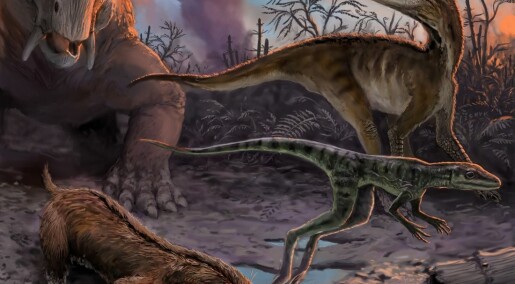 Dinosaurene utviklet seg raskere enn antatt