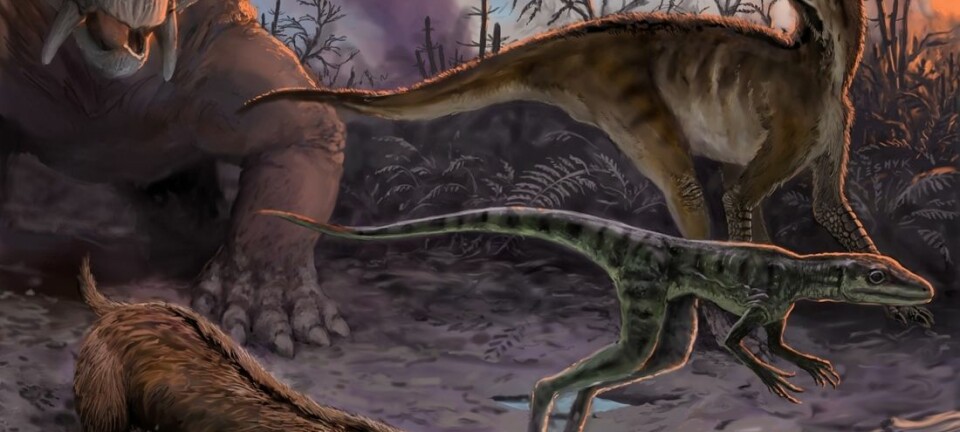 Illustrasjonen viser dinosaurenes forfedre på den argentinske klippeformasjonen Chañares. Her levde de for mellom 234 og 236 millioner år siden.  (Illustrasjon: Victor Leshyk)