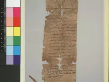 A father, Ophelas, requests that his underage son, Pakhois, be registered as an apprentice in the tax lists for the weaving industry. The document is dated 11 June in the year 70 CE. (Photo: Papyrus Collection, University of Oslo Library)