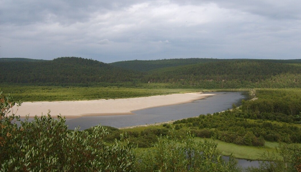 Finnmarksvidda bør bli et biosfæreområde, mener kronikkforfatteren. Det gir langt bedre muligheter til å forene bruk og vern, samtidig som det sikrer sterkere lokal styring. (Foto: Vberger) Finnmarksvidda bør bli et biosfæreområde, mener kronikkforfatteren. Det gir langt bedre muligheter til å forene bruk og vern, samtidig som det sikrer sterkere lokal styring. (Foto: Vberger)